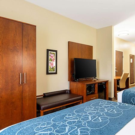 Comfort Inn & Suites פיין בלאף מראה חיצוני תמונה