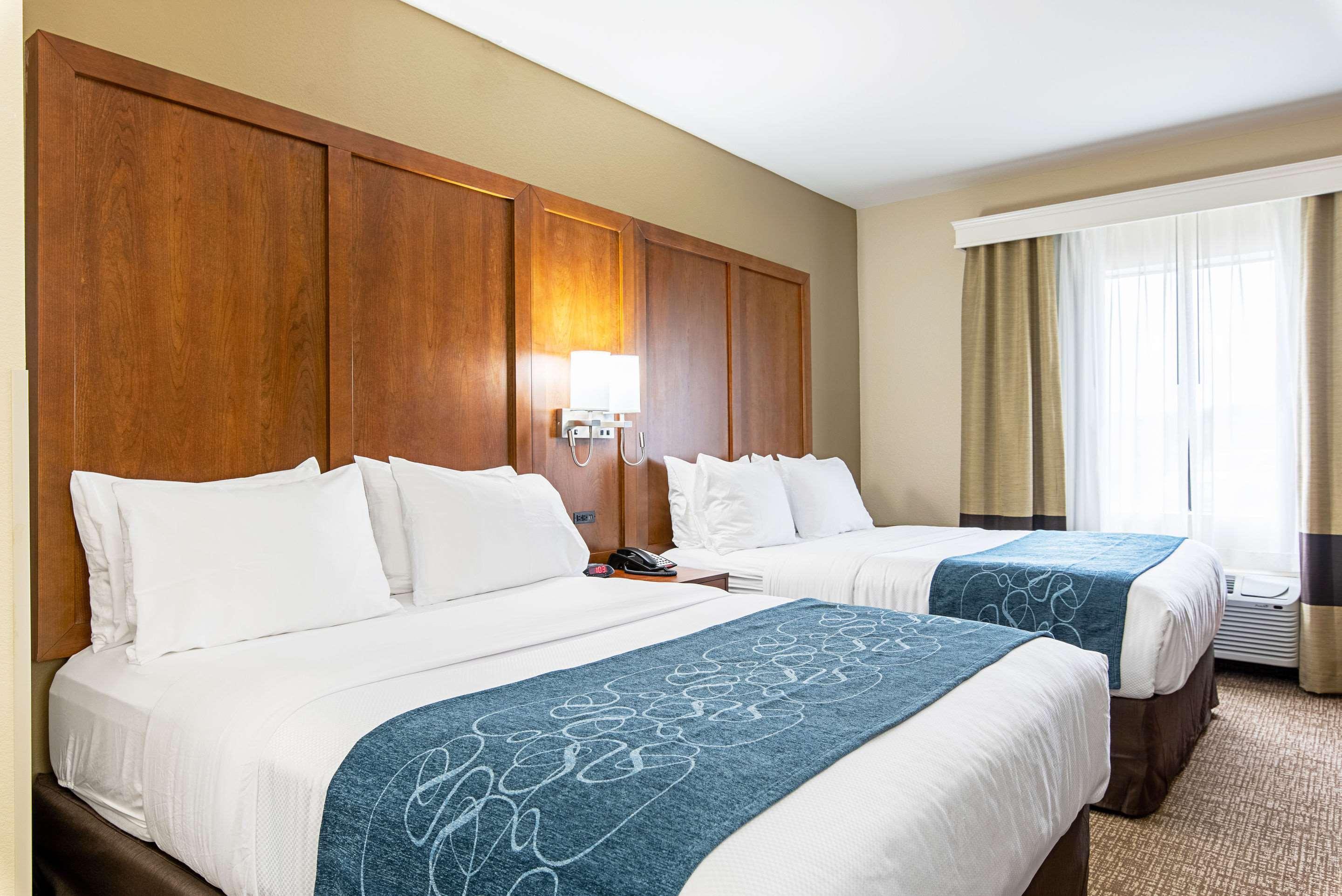 Comfort Inn & Suites פיין בלאף מראה חיצוני תמונה