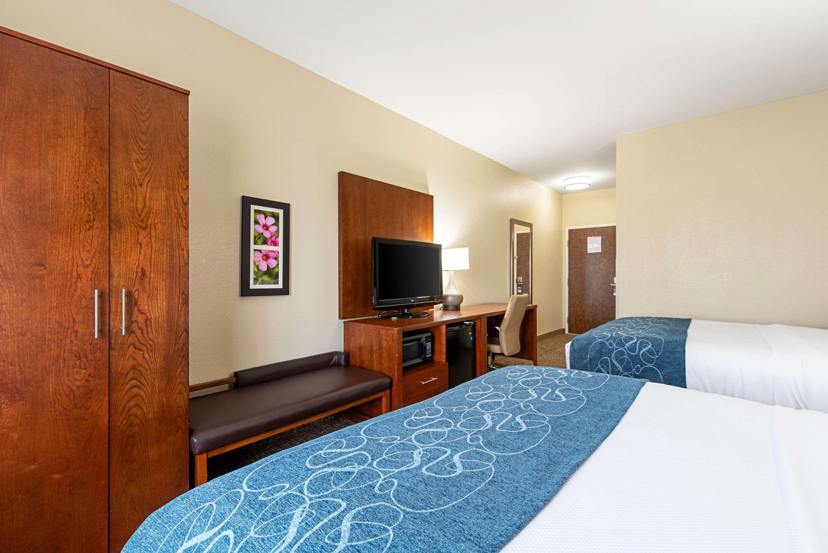 Comfort Inn & Suites פיין בלאף מראה חיצוני תמונה